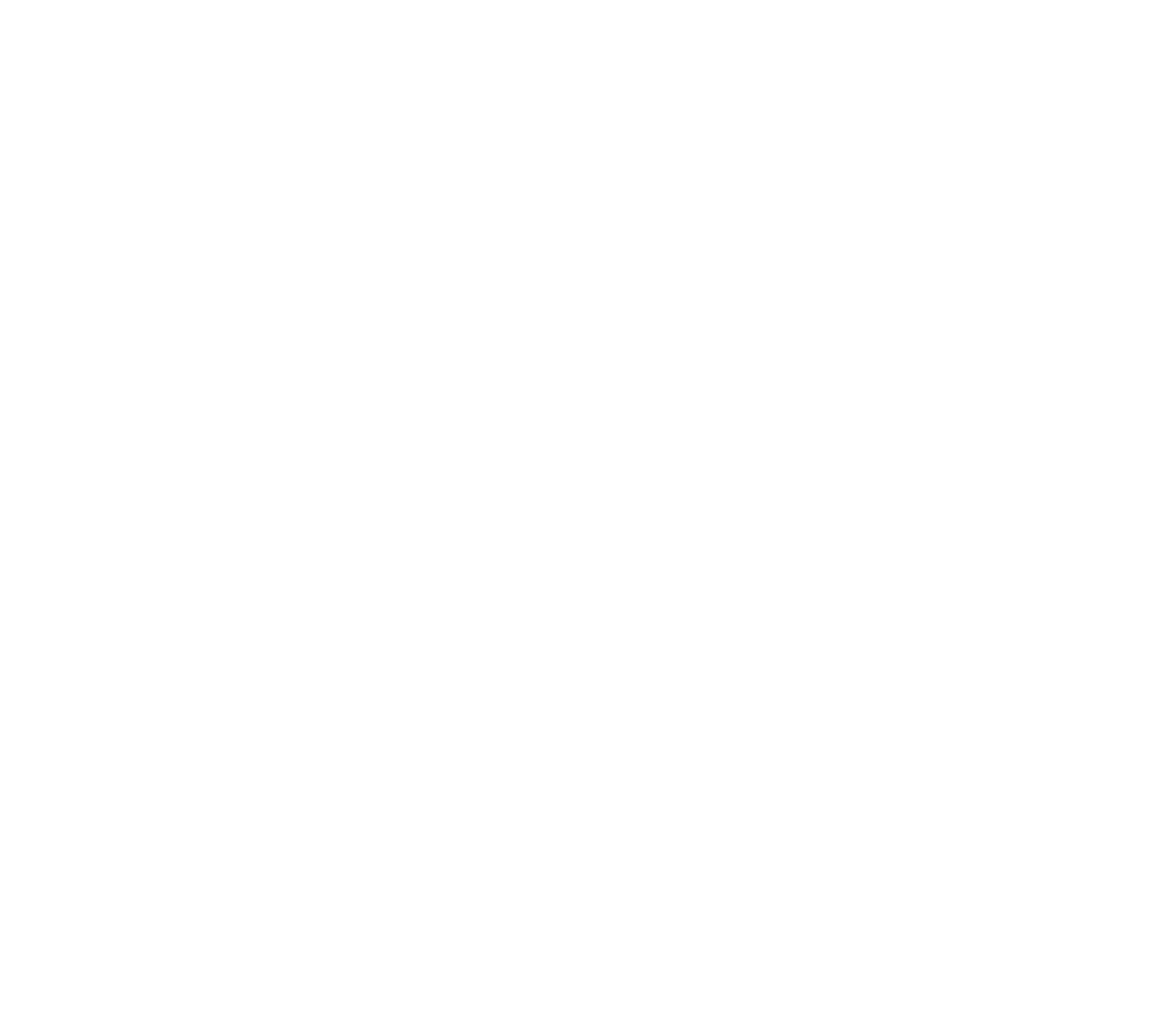 IIDSM Logo
